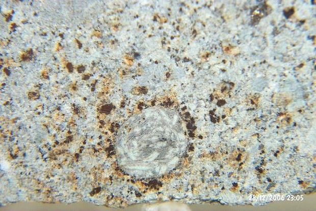 Alfianello 8 gram